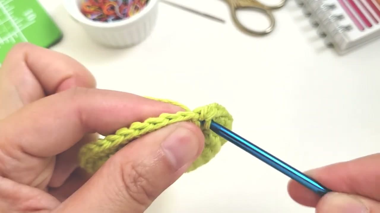 Step 5: Step 5: Insert the Hook Into the SAME Stitch Again