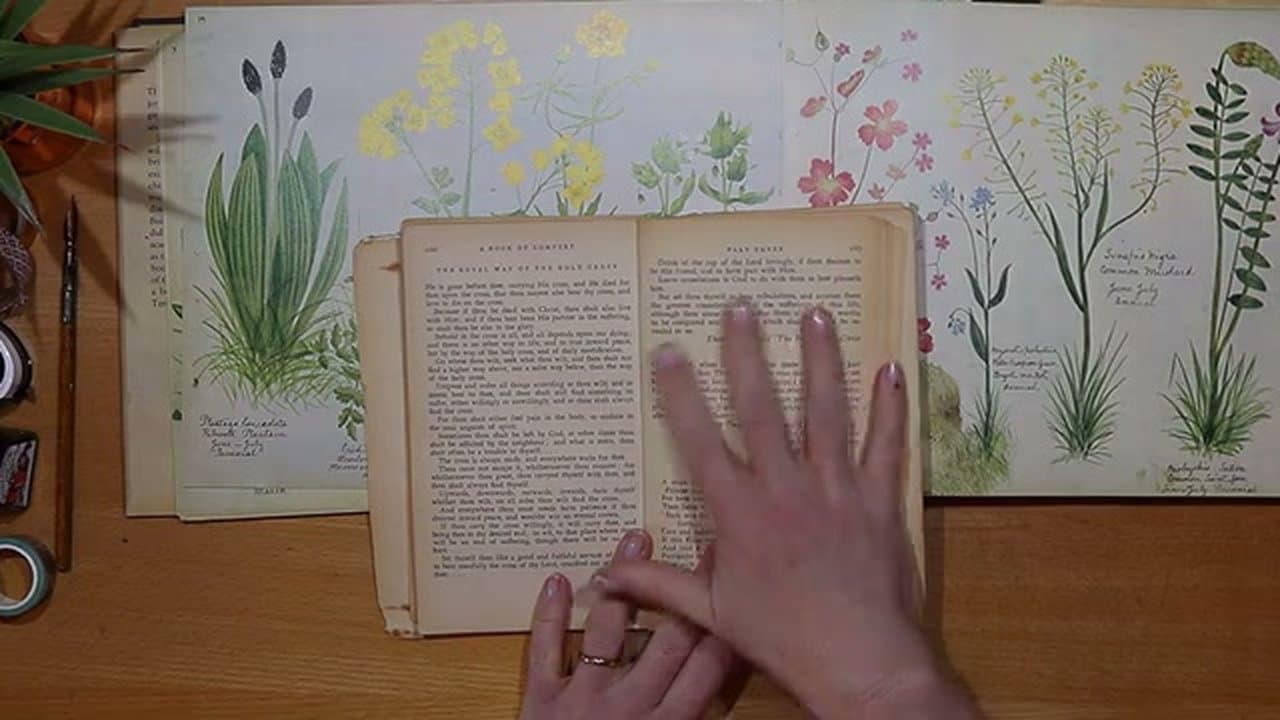 Step 1: Gather Pages and Papers - How to Make a Junk Journal: Step-by-Step Beginner Guide