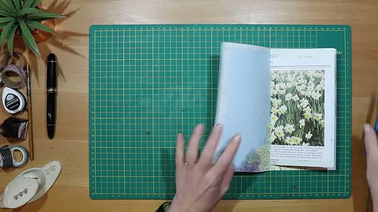 Step 2: Pick a Cover That Folds Into a Pocket - How to Make a Junk Journal: Step-by-Step Beginner Guide