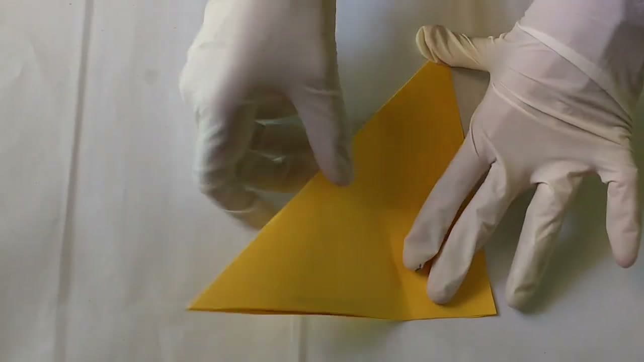 Step 2: Step 2: Fold the Square Into a Narrow Triangle