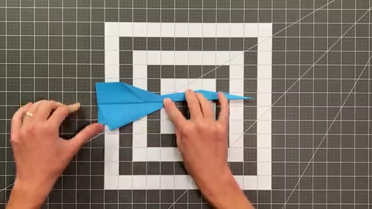 Step 7: Fold the Wings Down