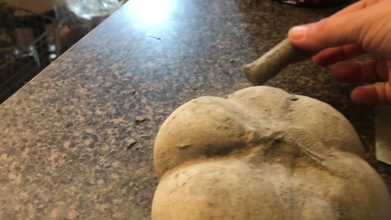 Step 7: Step 7: Add the Stem