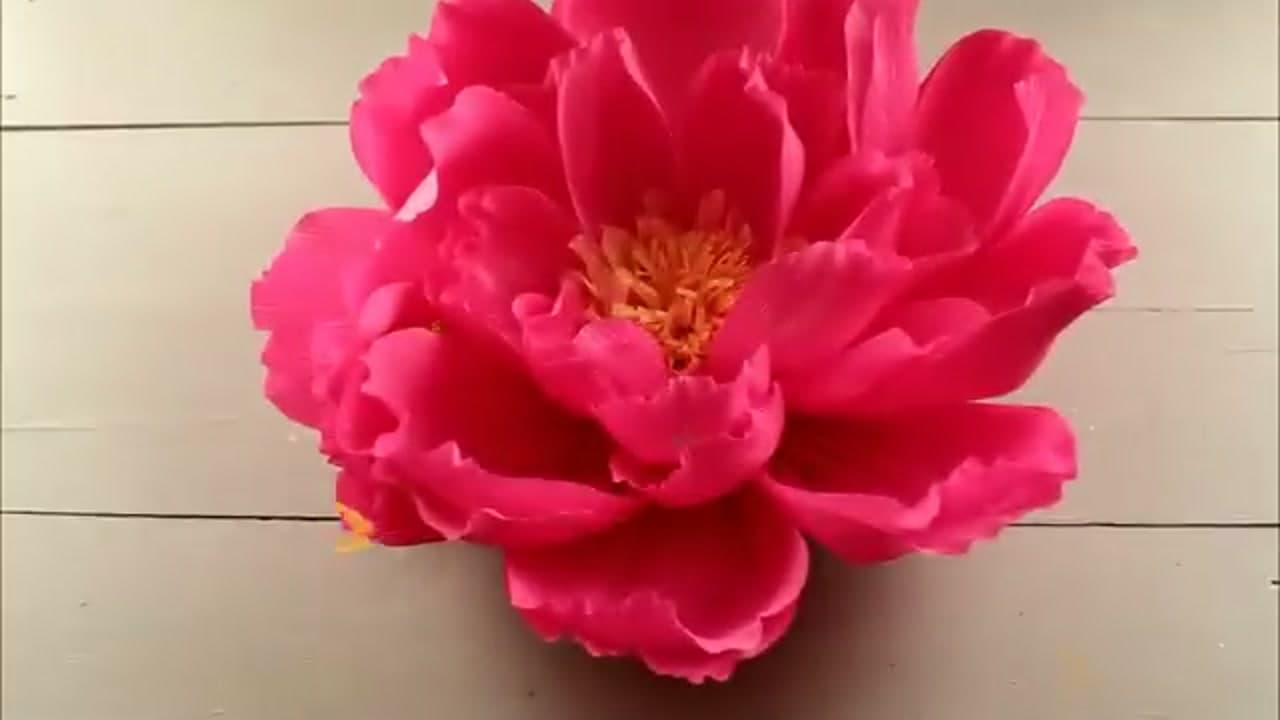 The finished result: How to Make Giant Paper Flowers for a Wedding Backdrop