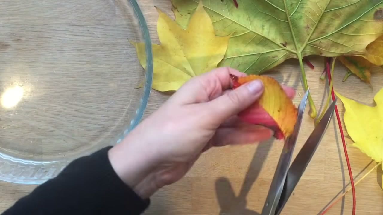 Step 1: Trim the Bottom of Every Stem - How to Preserve Fall Leaves