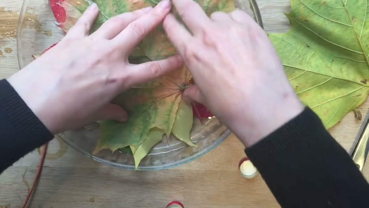 Step 5: Lay the Leaves In, Stems Down - How to Preserve Fall Leaves