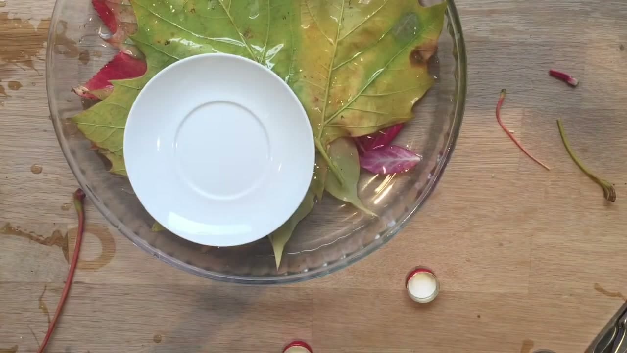 Step 6: Weigh Them Down with a Plate - How to Preserve Fall Leaves