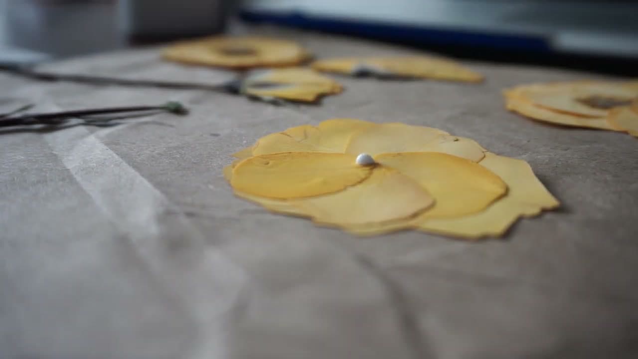 The finished result: How to Press Flowers - 2 Methods for Roses and More
