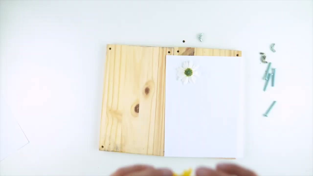 Step 1: Pick Your Flowers and Choose a Method - How to Press Flowers (4 Methods: Microwave, Iron, Book, and Press)