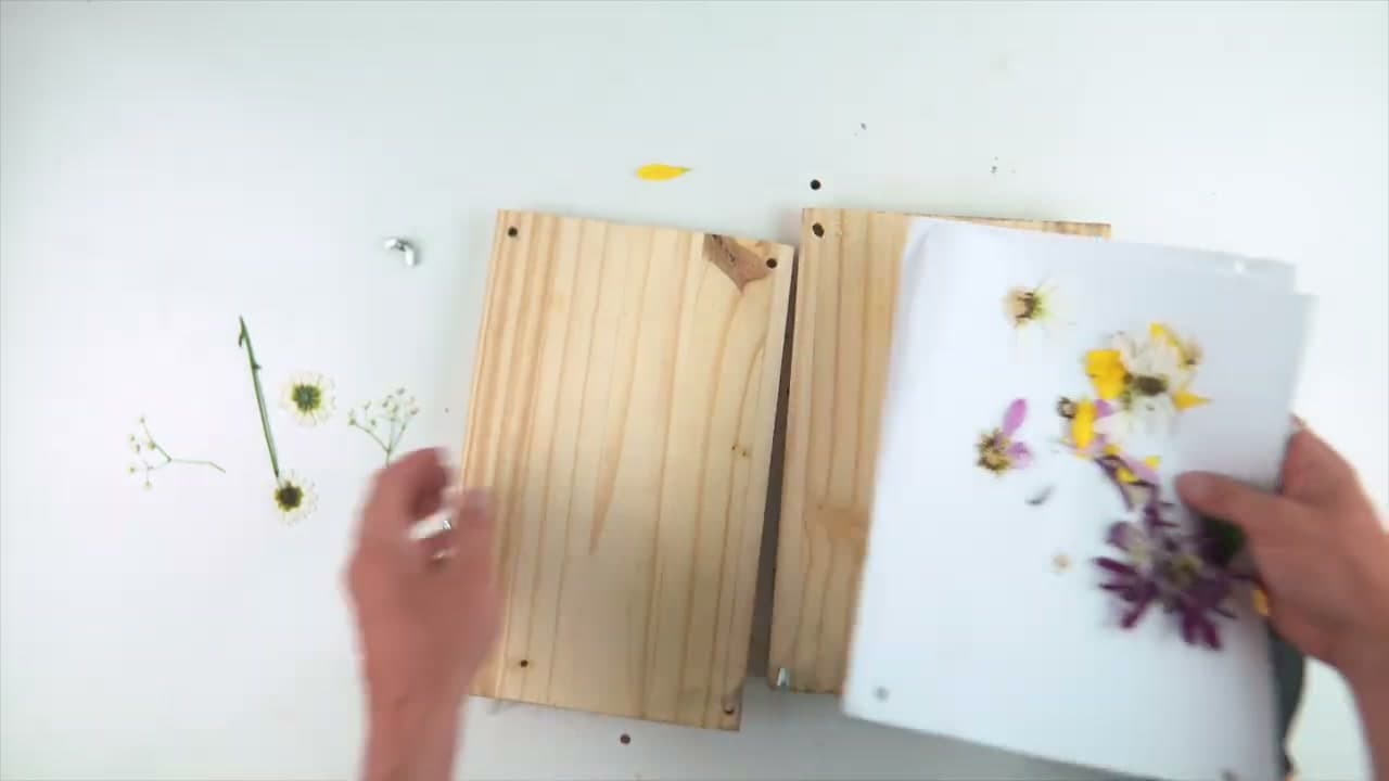 Step 7: Compare the Results (The Favorite Combo) - How to Press Flowers (4 Methods: Microwave, Iron, Book, and Press)