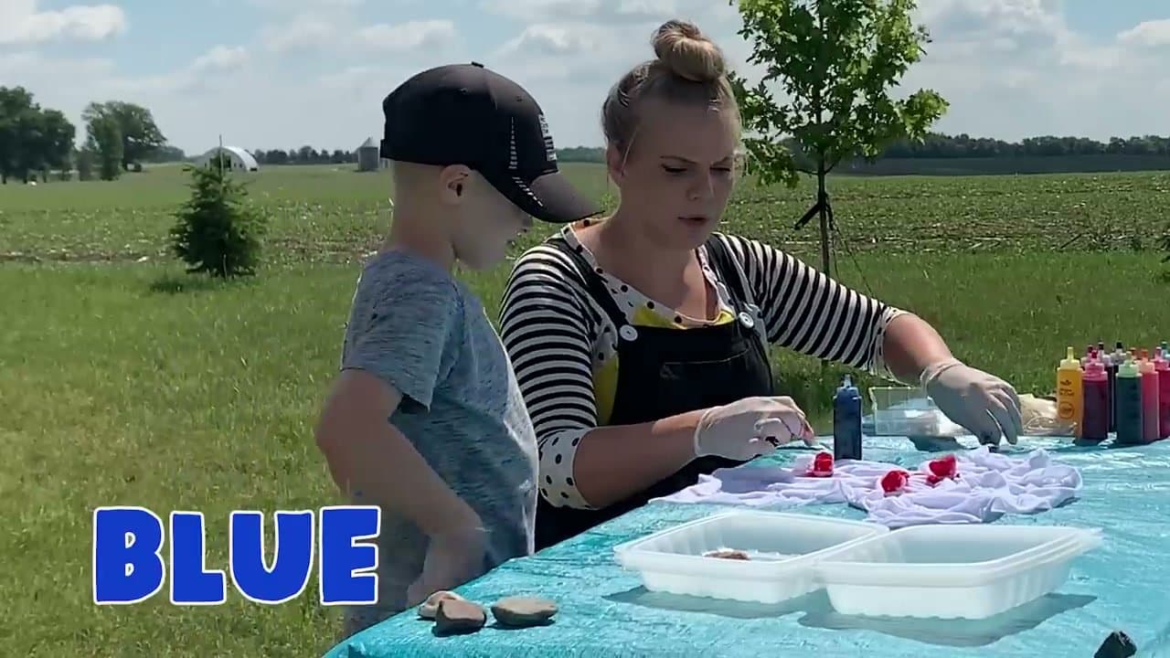 Step 2: Design 1 - Sunburst