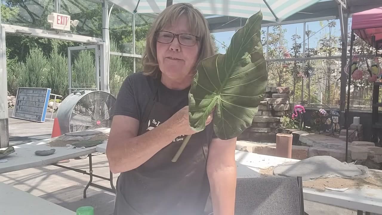Step 1: Choose a Leaf With Deep Veins - How to Make a Concrete Leaf Casting