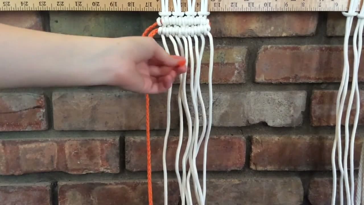 The finished result: How to Tie a Half Hitch (Horizontal Double Half Hitch, 2 Methods)