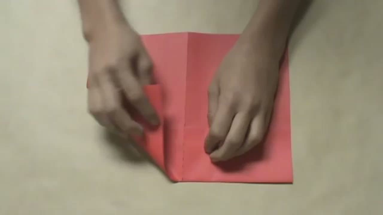 Step 3: Step 3: Fold Lower Corners Up Like a Paper Airplane