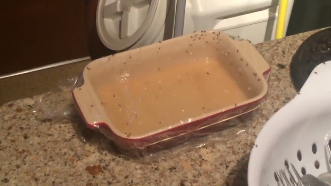 How to Get Rid of Fruit Flies
