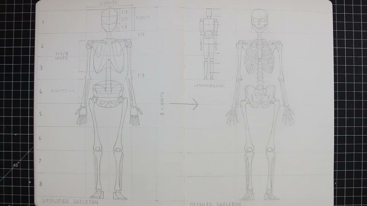 How to Draw a Skeleton